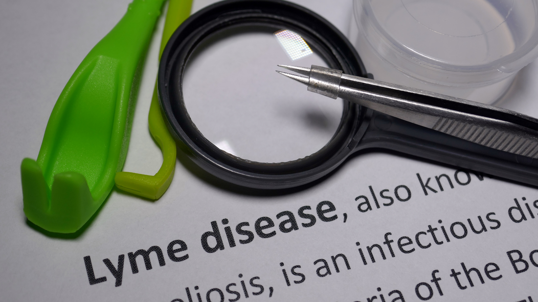 The Controversy of Lyme Diagnosis